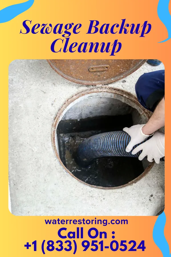 Sewage Backup Cleanup in Wickerham Manor-Fisher, PA